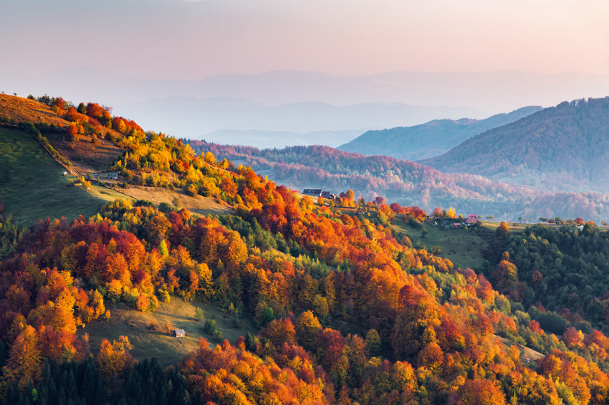 秋天多姿多彩的森林电脑壁纸风景旅游图