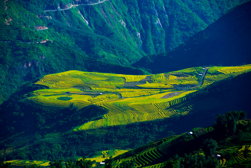 农业乡村振兴粮食水稻稻谷秋收实拍