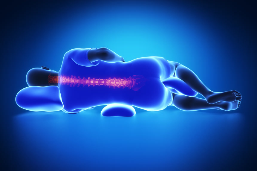 背面的睡觉姿势三维透视图医疗人像