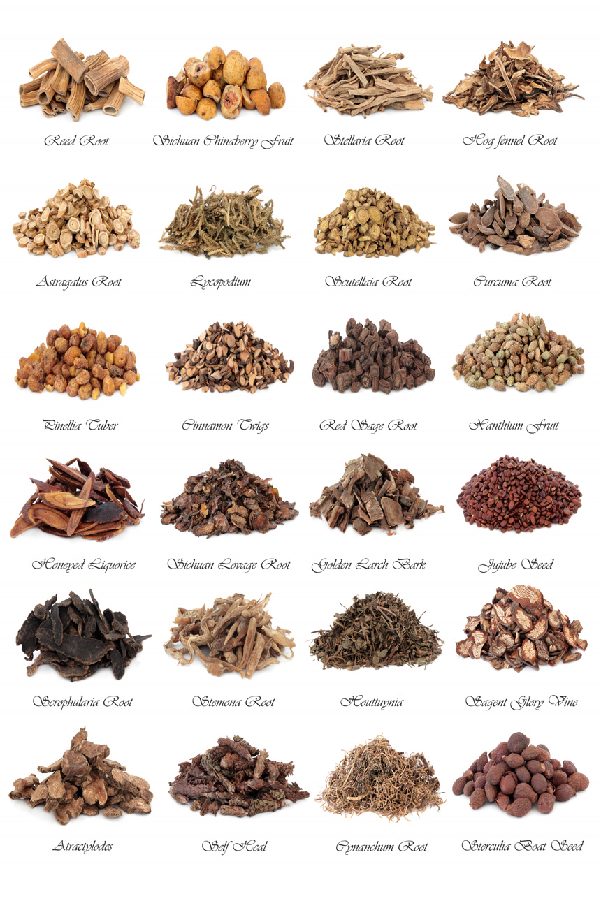中草药合集药材中医文化白底图