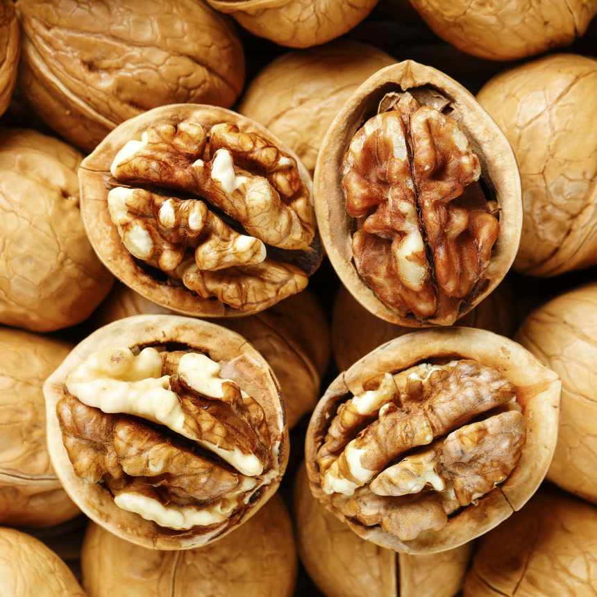 木底上的新疆核桃