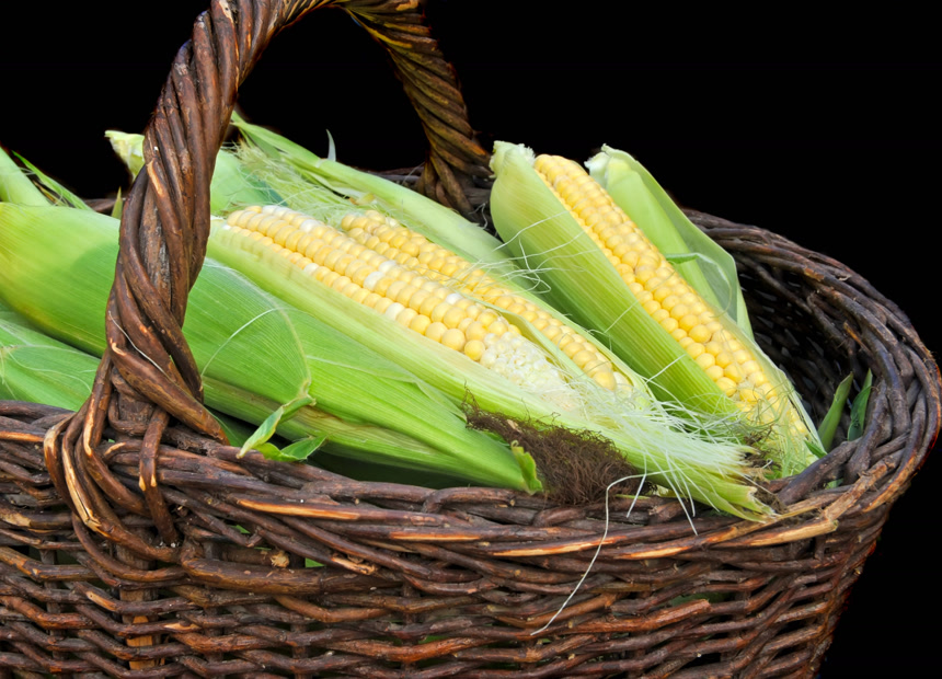 在篮子里的新鲜玉米棒子  新鲜蔬菜