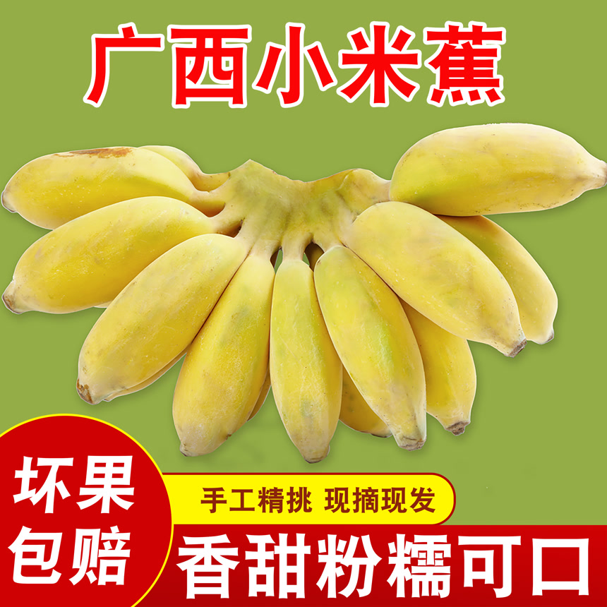 广西苹果蕉主图