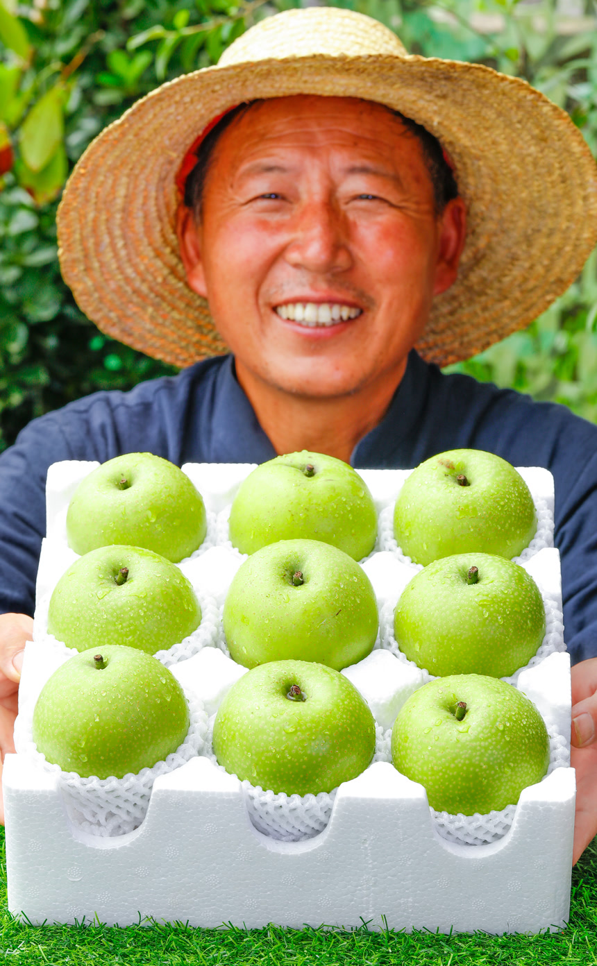 礼盒装着青皮皇冠梨