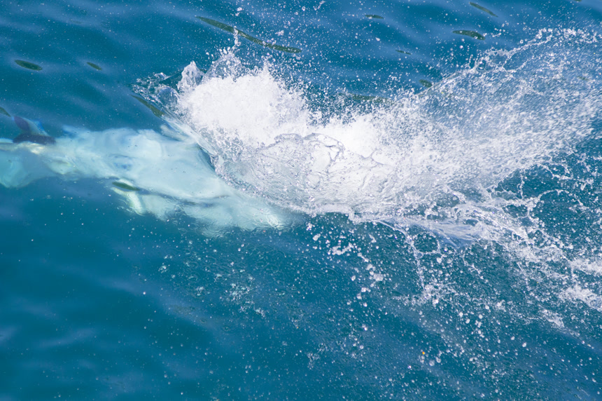 人物跳入海水中溅起的水花生活方式