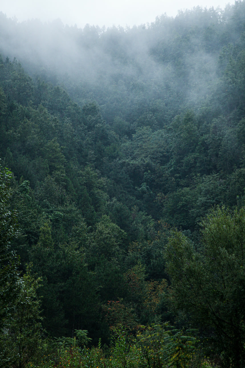 深山风景 云海