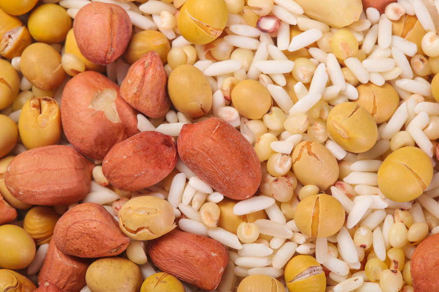 白底上的花生五谷豆浆