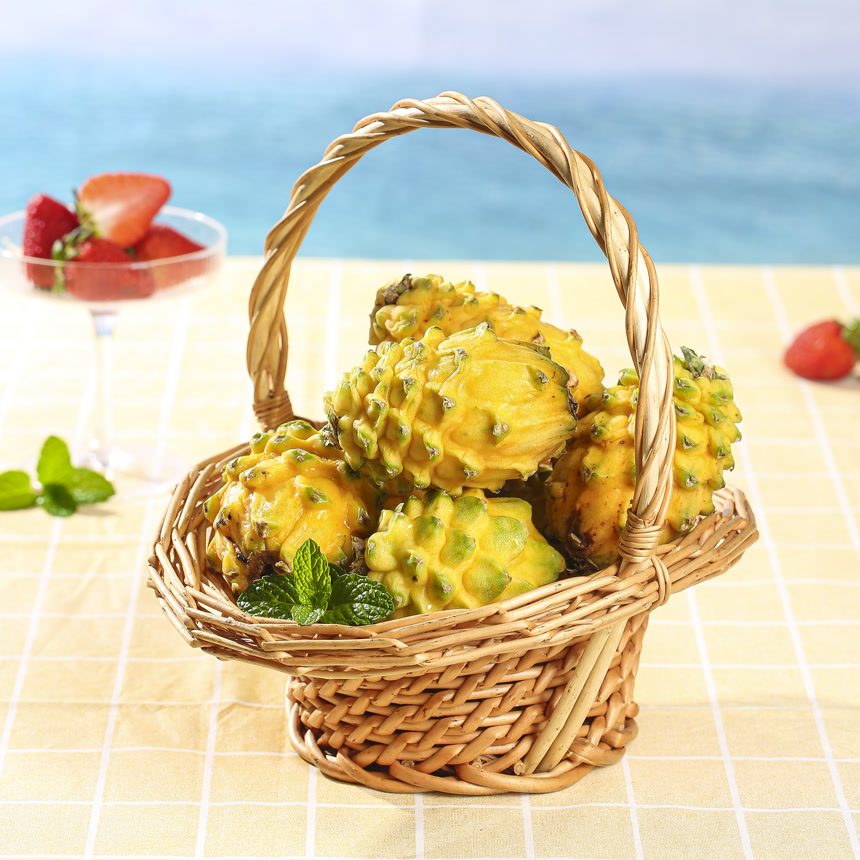 浅底上的麒麟果