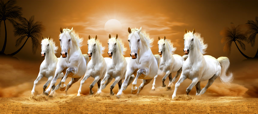 沙滩上奔腾的一群白马动物畜牧业养殖