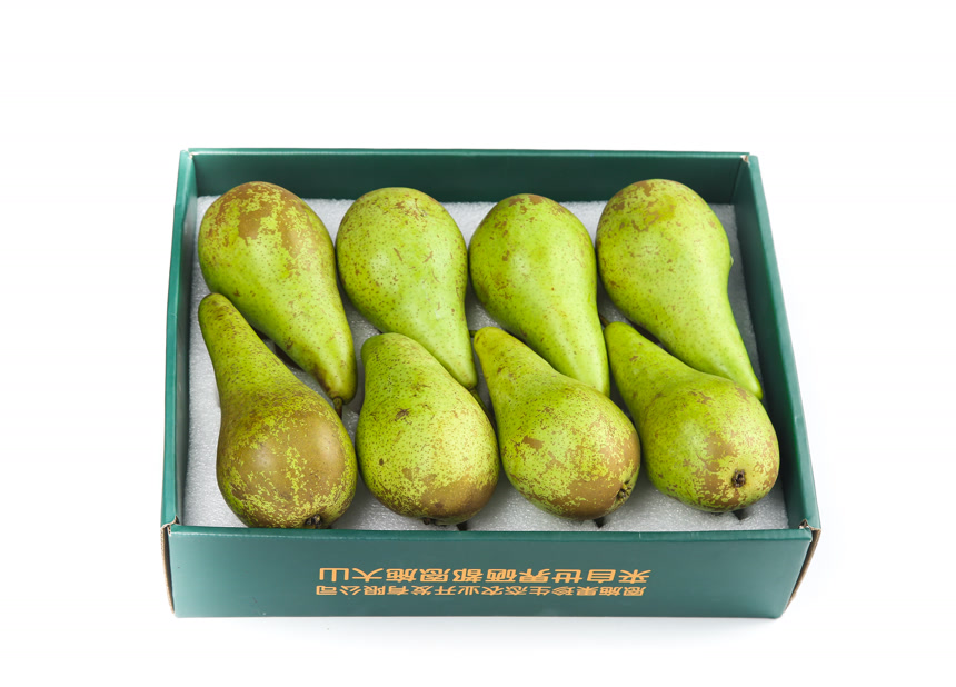 白底上的进口啤梨