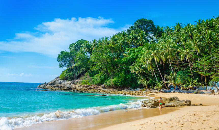 蓝天白云下的天堂海滩棕榈树自然景观