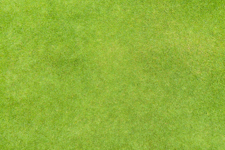 高尔夫球操场绿色草地