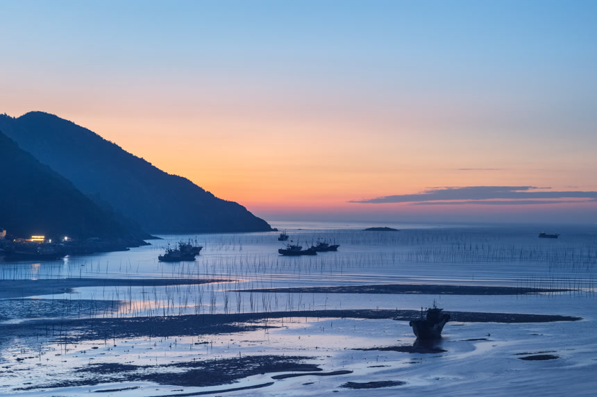 黎明时分的小雨景观海岸线种植海藻壁纸风景