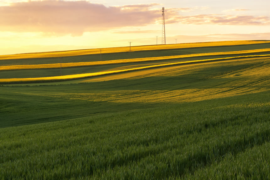 夕阳下麦田田地自然景观