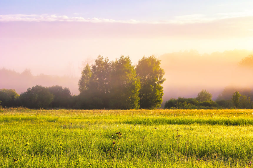 美丽的乡村早晨草甸日出自然景观