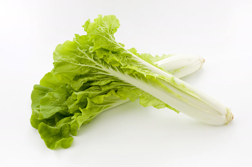 山东菜大白菜的基因叫三头菜绿色有机蔬菜