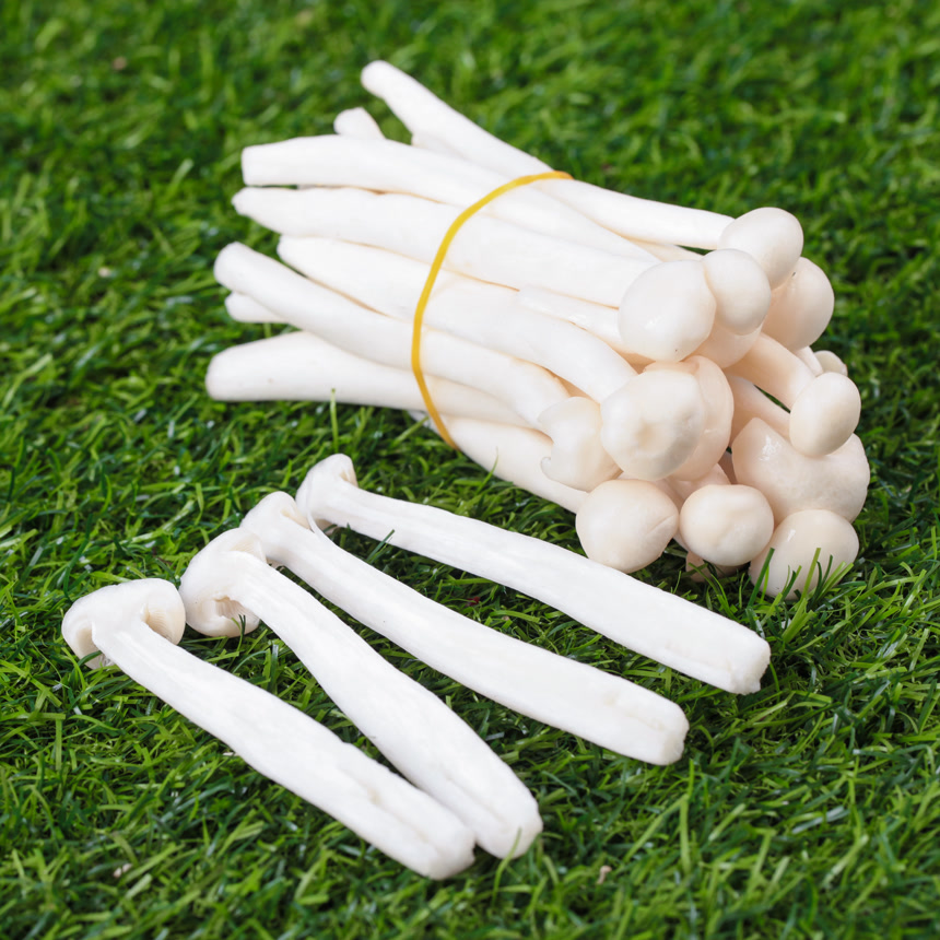 深底上的海鲜菇