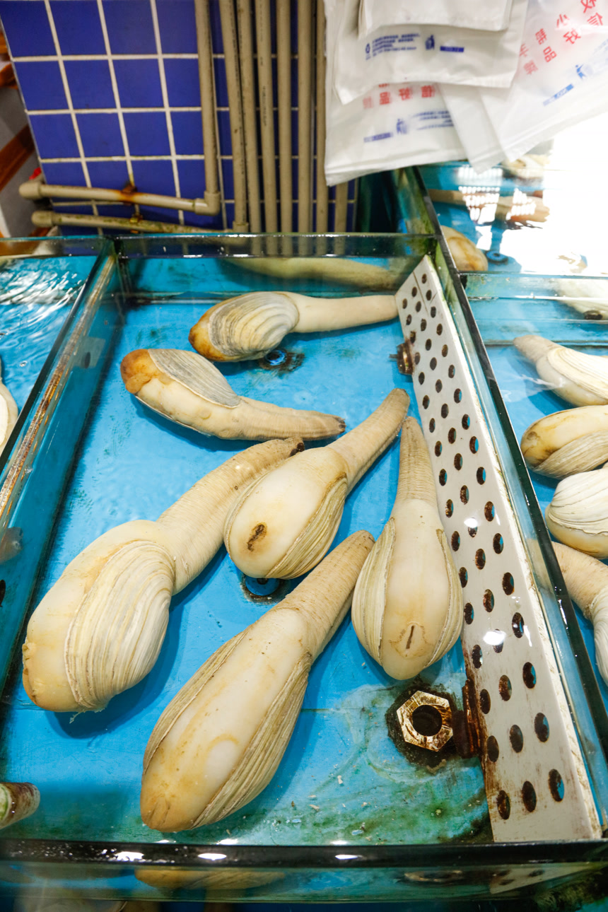 海鲜市场象牙蚌