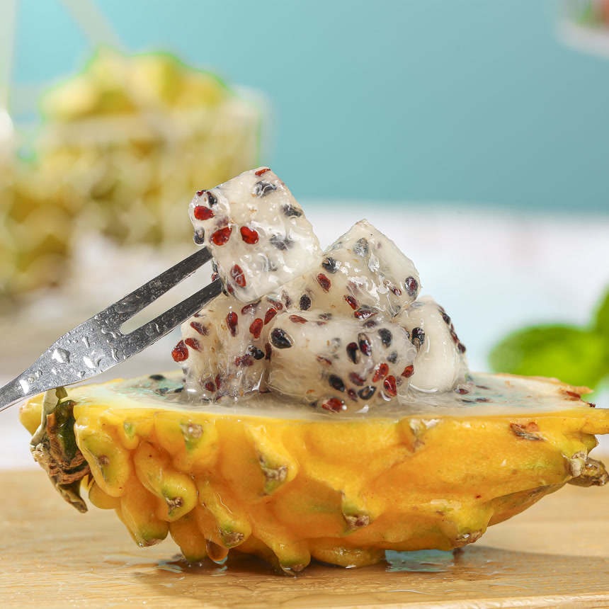 浅底上的麒麟果