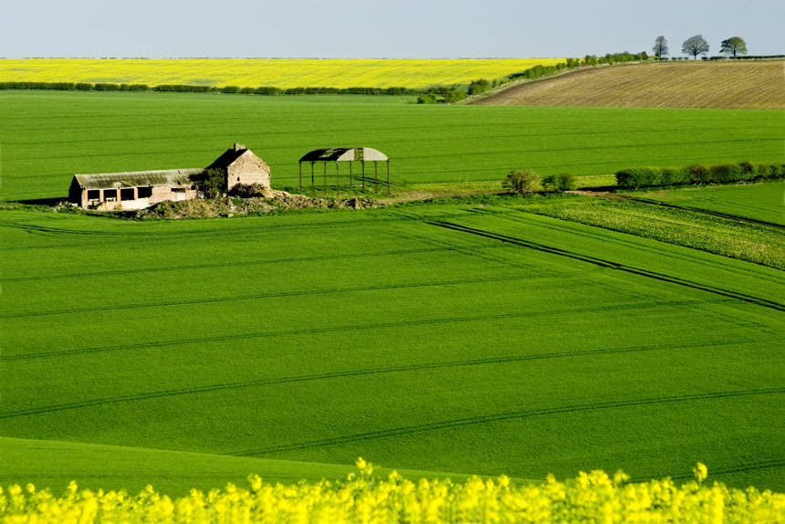 生态农业绿色环境农业乡村振兴宣传片