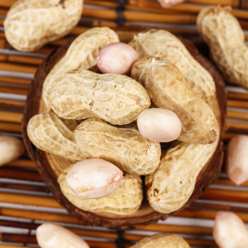 浅底上的新鲜花生