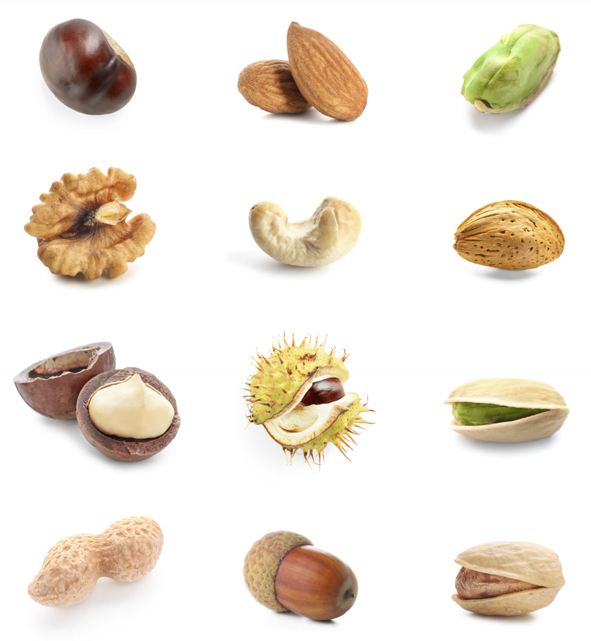 白底图上的各种坚果食物年货节