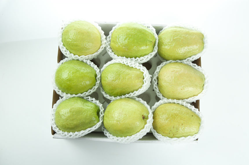 礼盒里装着红心芭乐