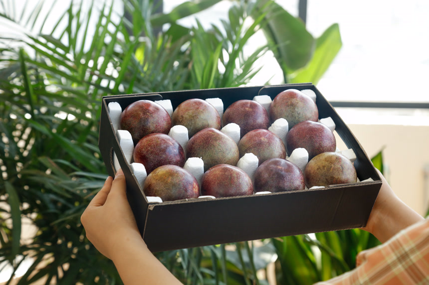 手里拿着恐龙蛋李