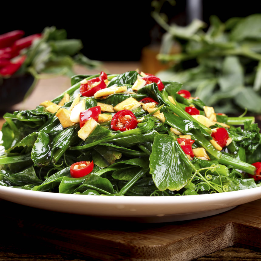 深底上的豌豆苗