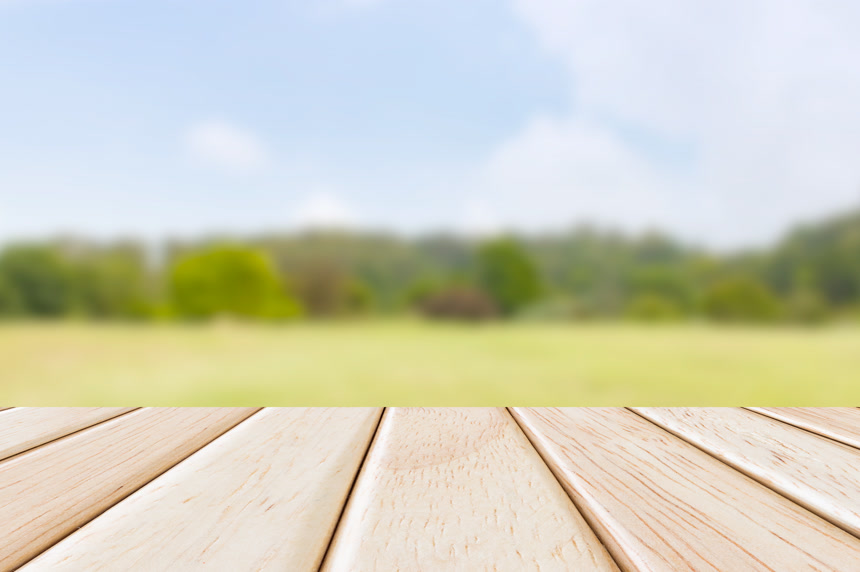 空木桌面前面公园模糊的绿色树木虚焦