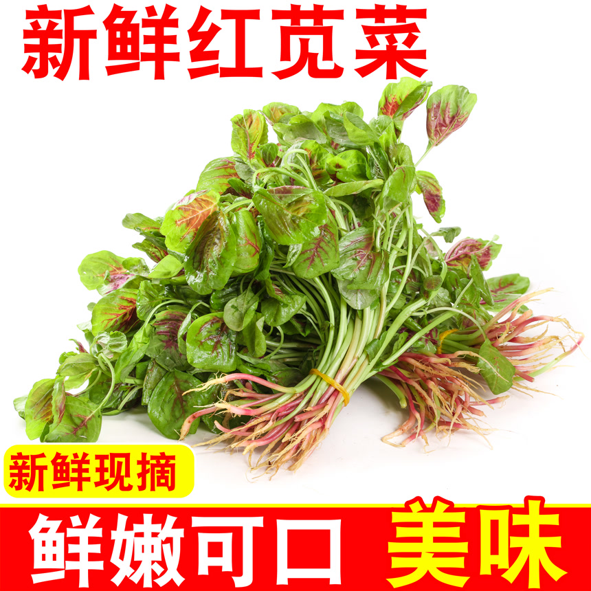 新鲜苋菜主图