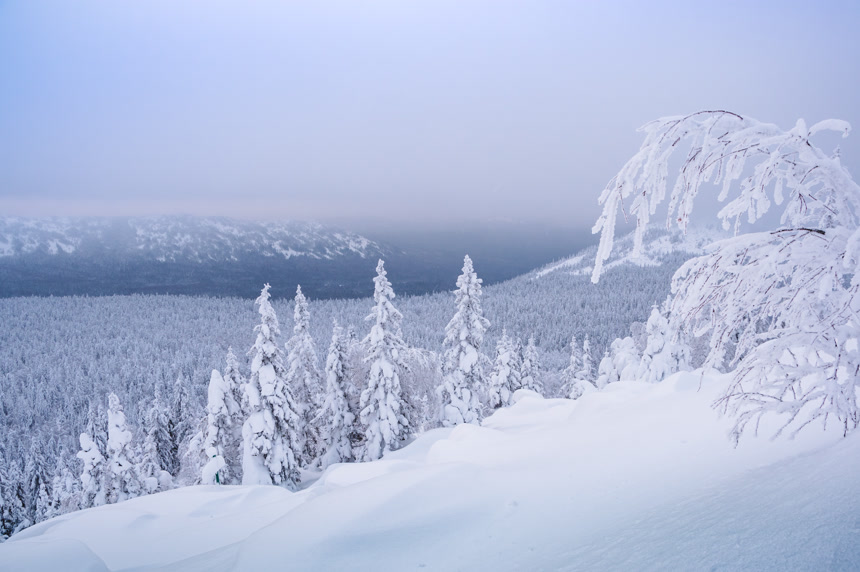 冬天的山丘在早晨结霜的薄雾斜坡上的树都挂满是雪自然风景