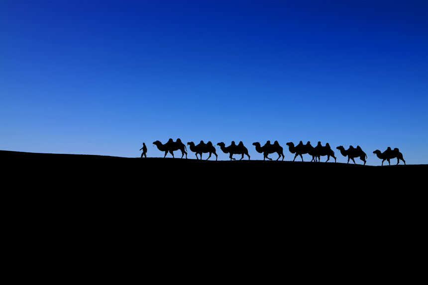 骆驼商队在沙漠上行走的剪影