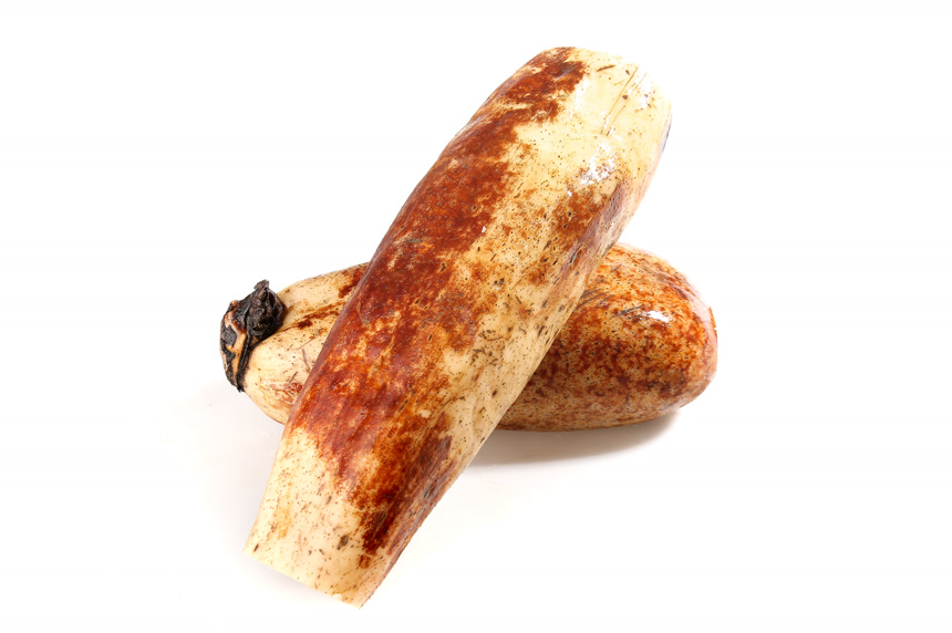 白底上的洪湖粉藕