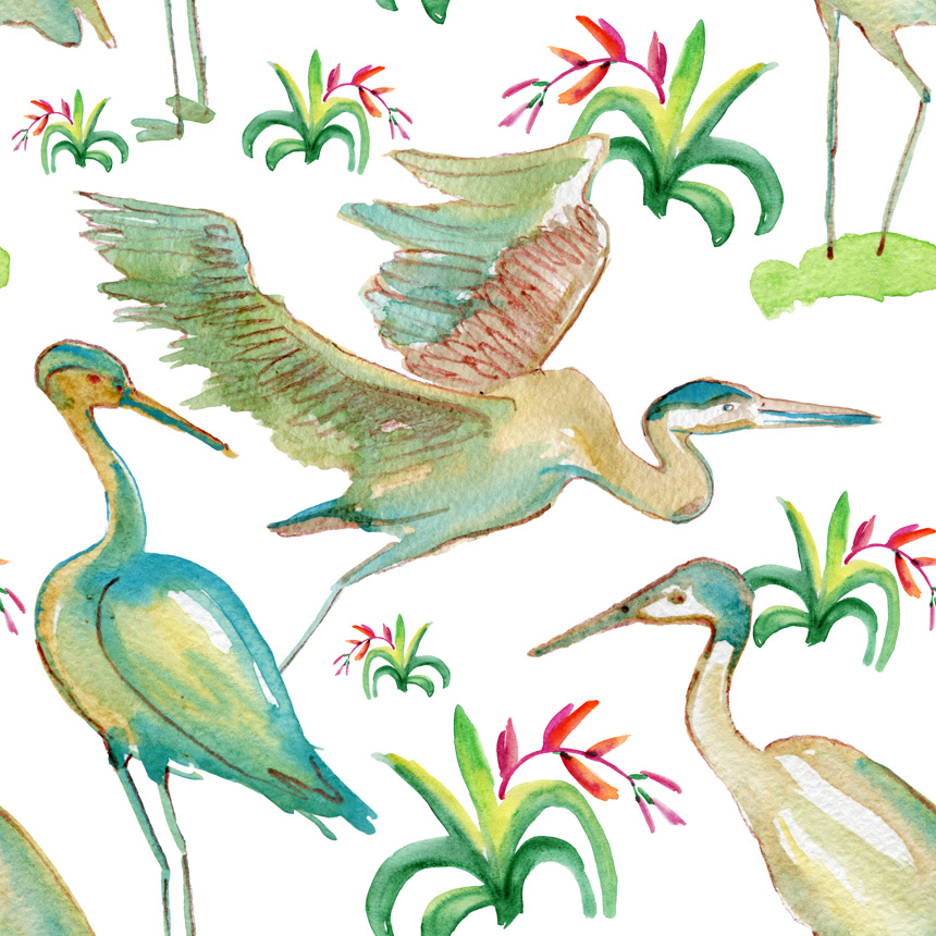 白底图上水彩仙鹤动物