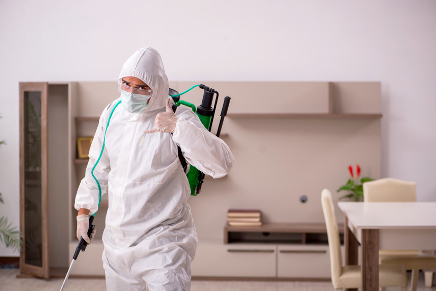 在家中进行害虫防治的年轻男性健康生活方式