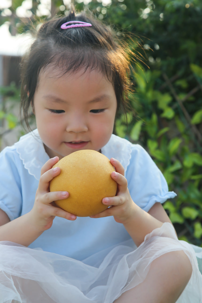 手里拿着秋月梨