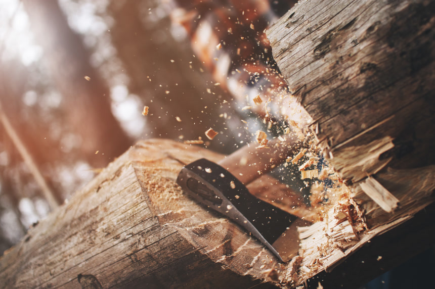 樵夫在砍一棵大树木屑飞溅树林木材林业宣传