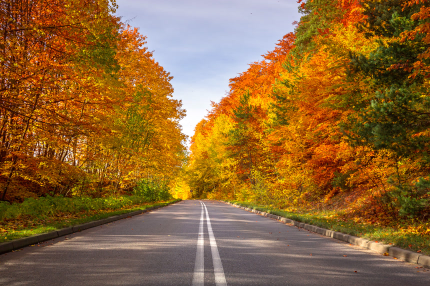 航拍森林里的乡村公路色彩斑斓