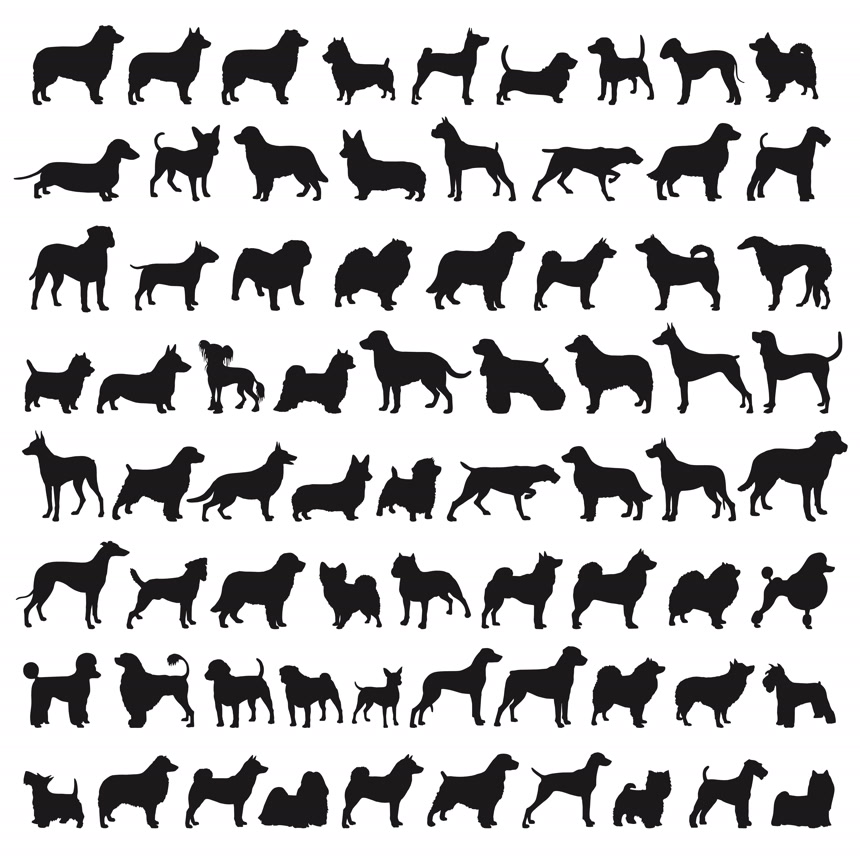 狗狗品种剪影素材白底图 