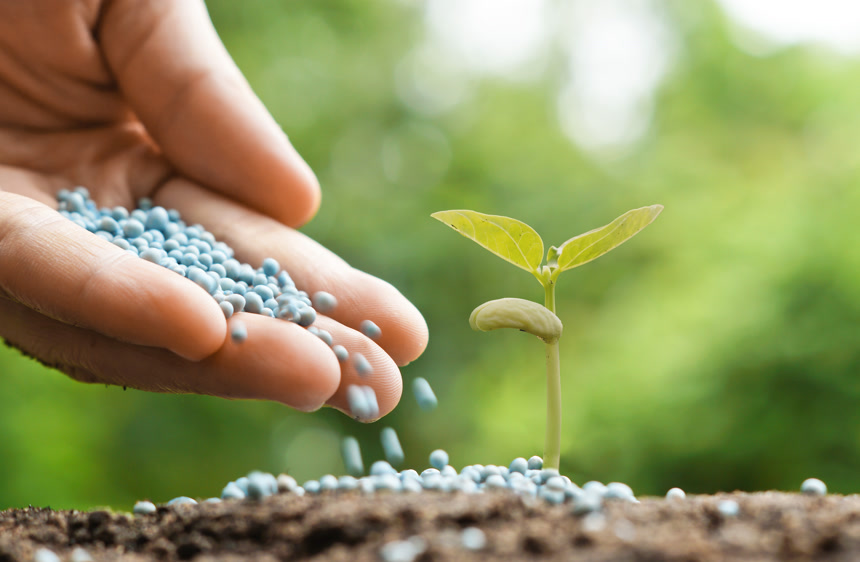 手浇水年幼的婴儿植物施肥农业广告