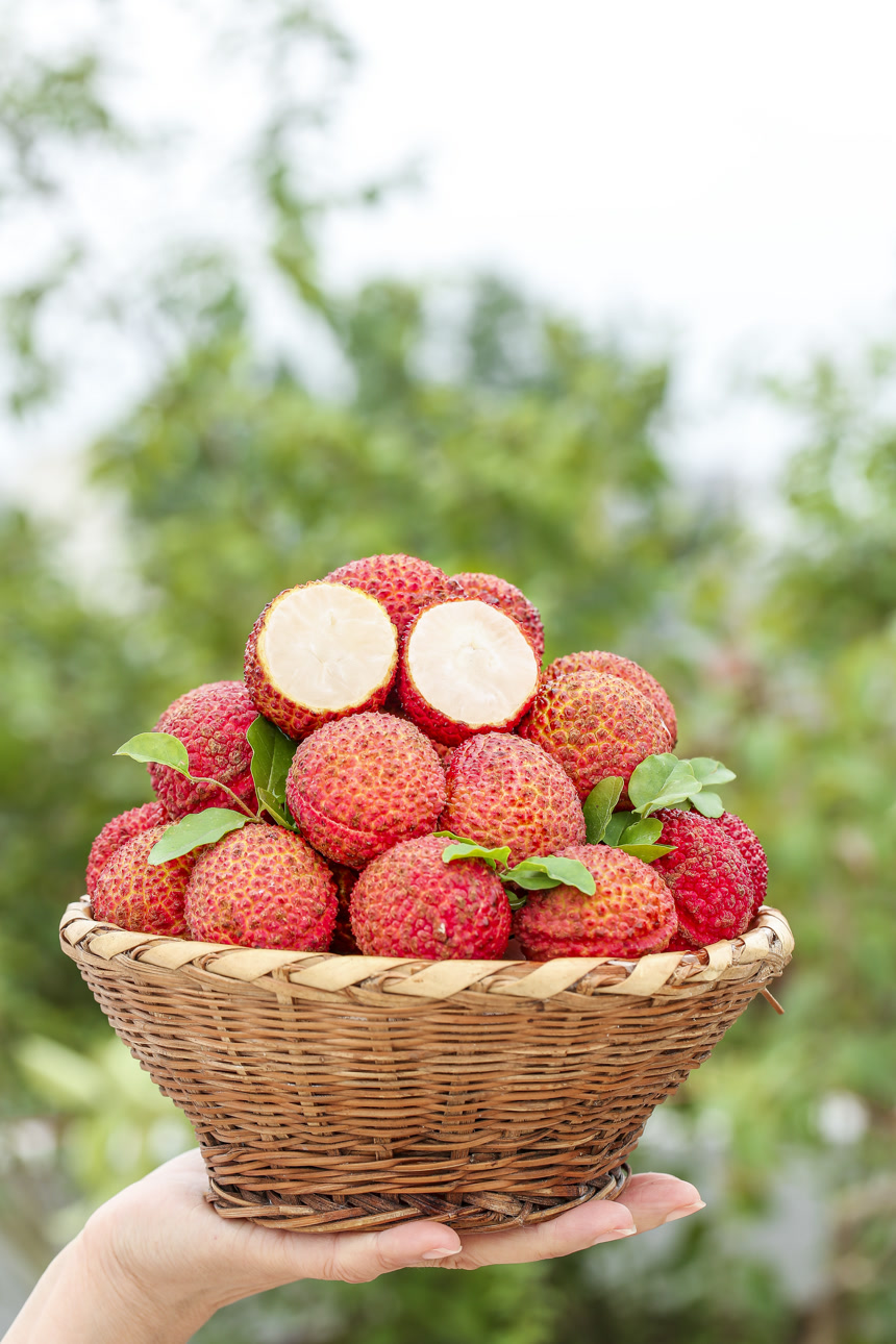 手里拿着无核荔枝