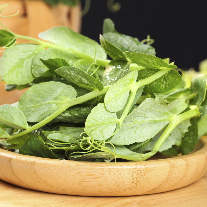 深底上的豌豆苗