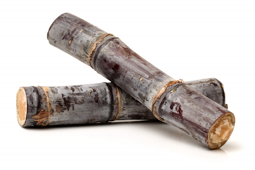 在白色背景下的两根甘蔗交叉着放在一起