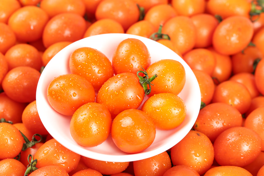 浅底上的小番茄