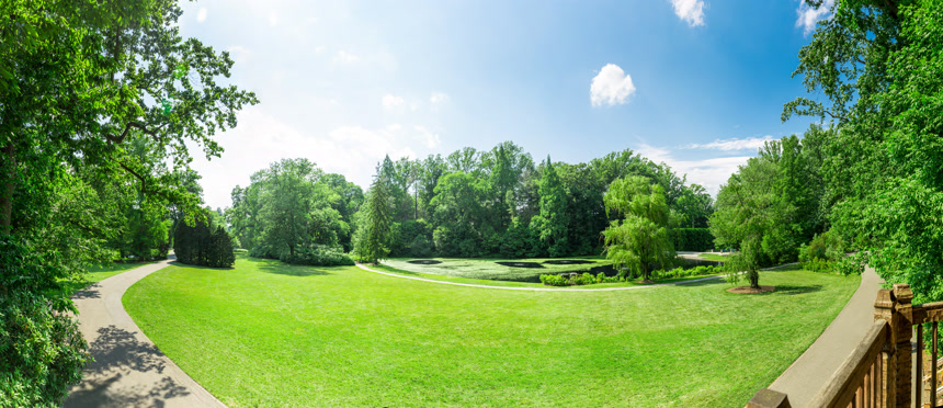 公园里新鲜的草甸景观自然景观