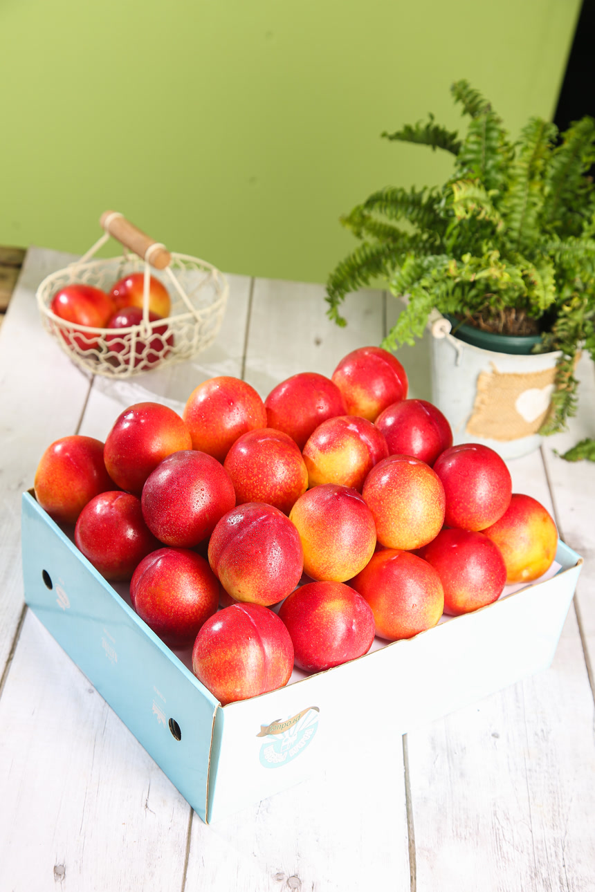 木底上的珠宝李