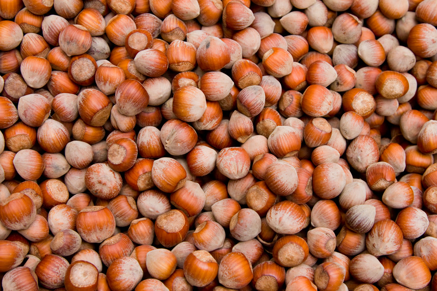 一堆榛子产品图坚果