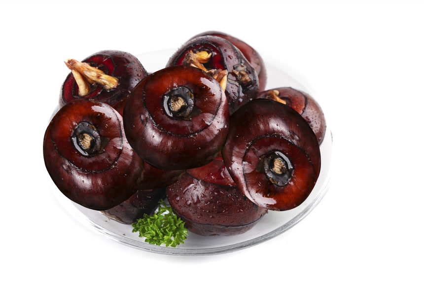 白底上的新鲜马蹄