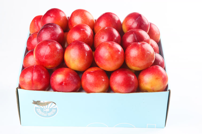 白底上的珠宝李